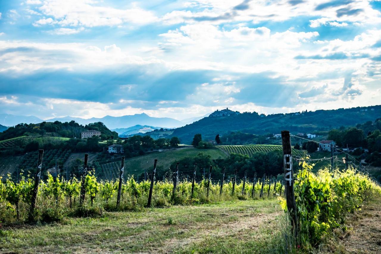 Recchi Franceschini Bike Hotel Last - Minute - Availability Montalto delle Marche Экстерьер фото
