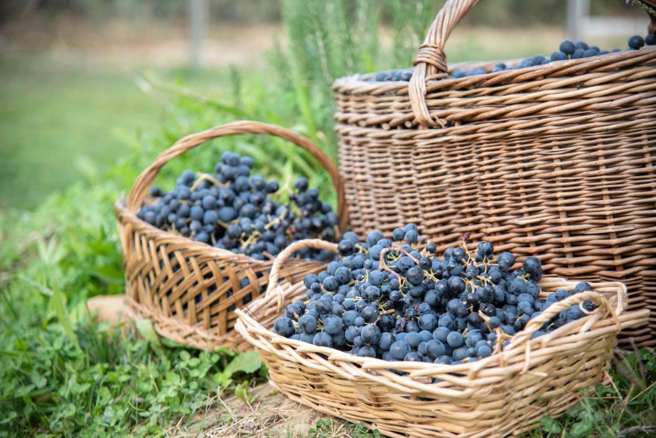 Recchi Franceschini Bike Hotel Last - Minute - Availability Montalto delle Marche Экстерьер фото