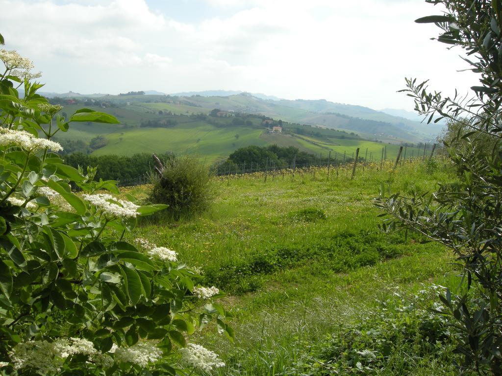 Recchi Franceschini Bike Hotel Last - Minute - Availability Montalto delle Marche Экстерьер фото