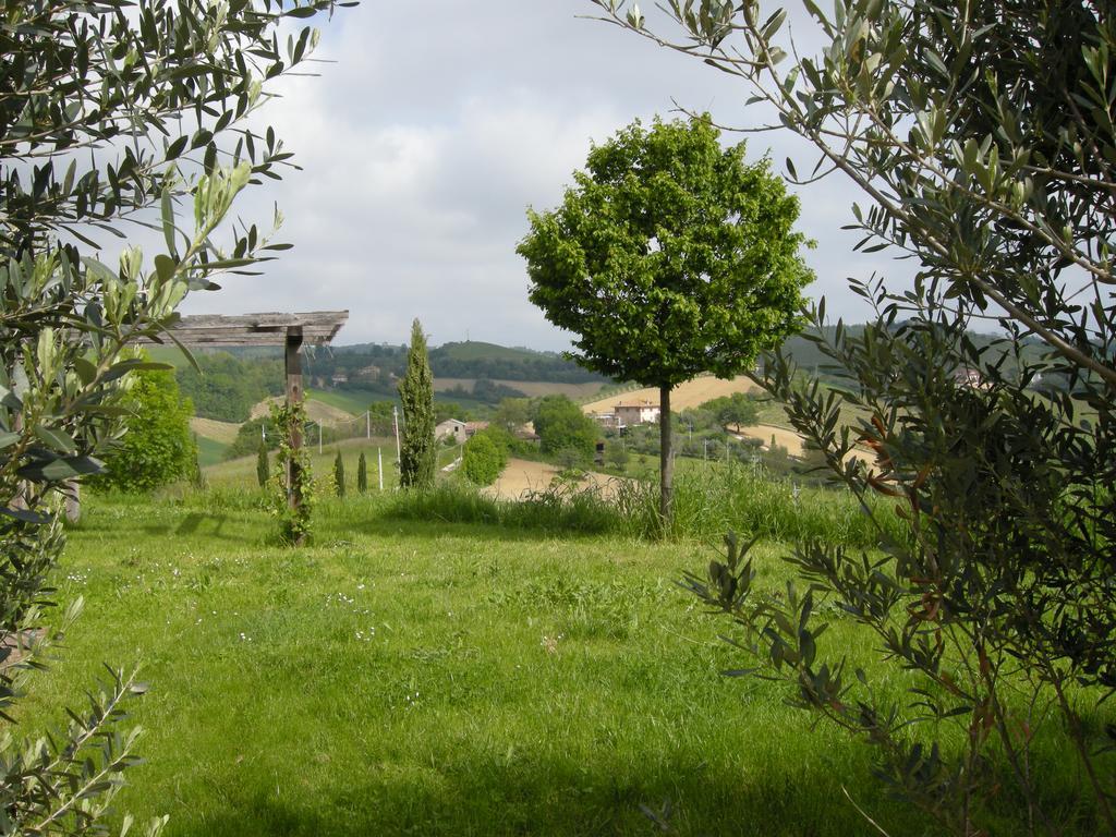 Recchi Franceschini Bike Hotel Last - Minute - Availability Montalto delle Marche Экстерьер фото